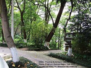 Luzhou juin 2017 - 013